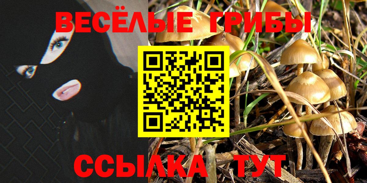 Галлюциногенные грибы мухоморы  Вход с VPN  Клинцы 